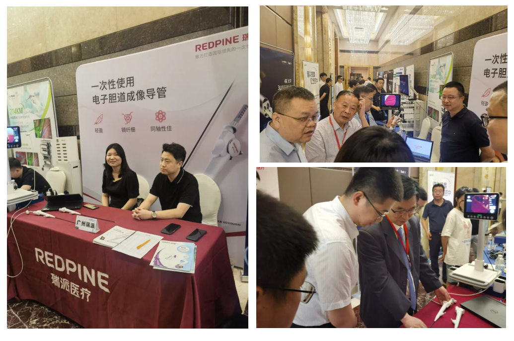 360截图20240906161115.png 360截图20240906161115.png